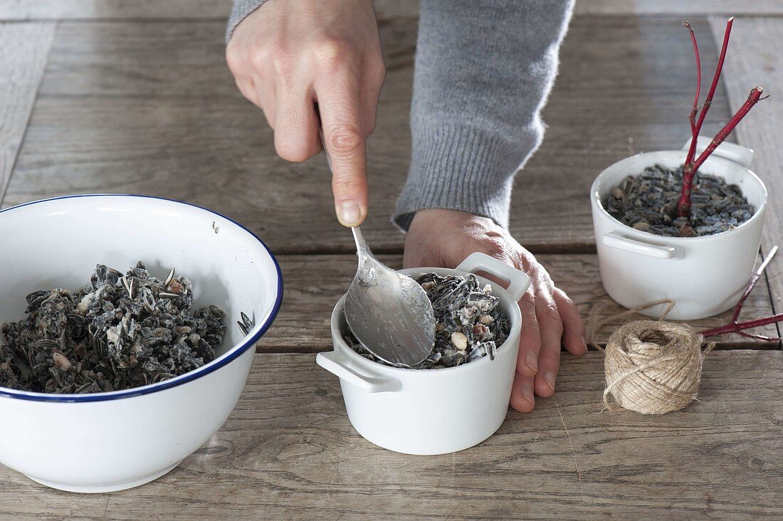 Birdseed in various hanging containers