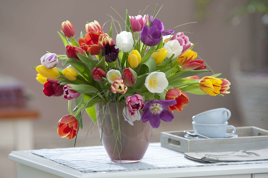 Bunter Strauss mit farblich gemischten Tulipa (Tulpen) in Glas-Vase