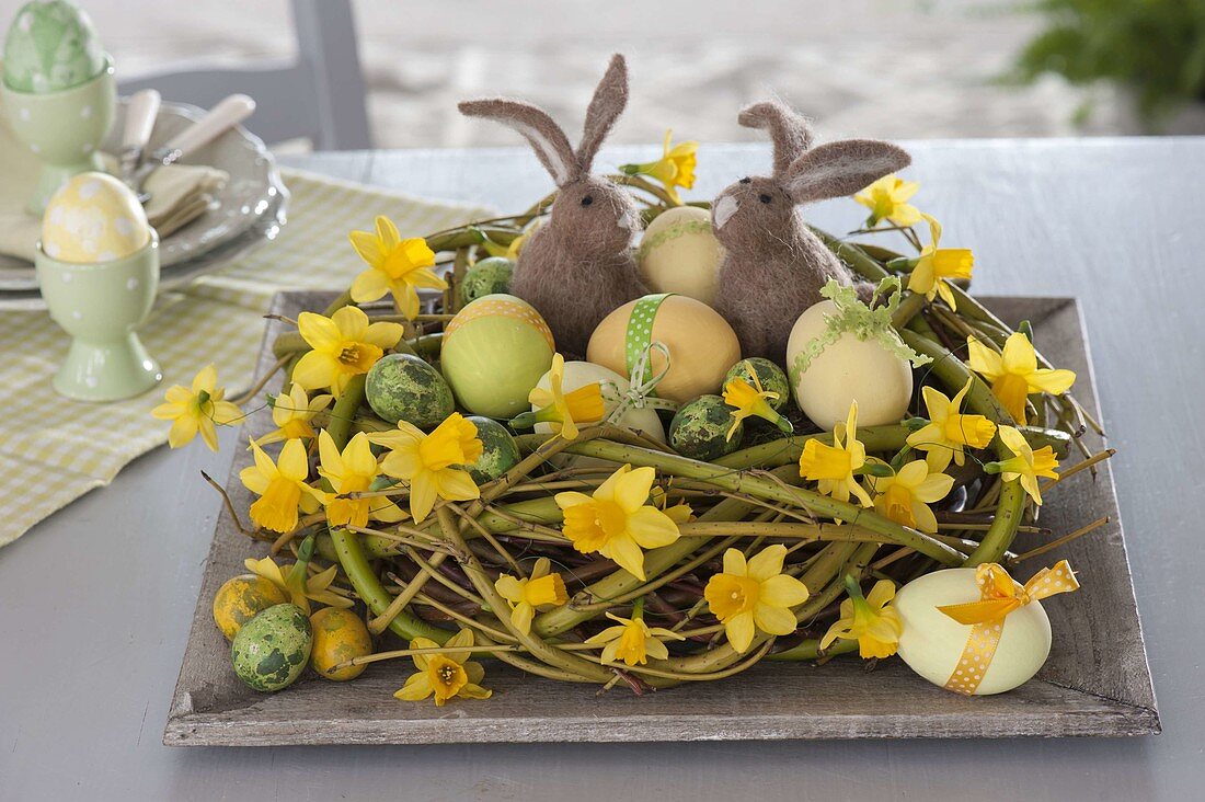 Salix wreath as Easter basket decorated with Narcissus flowers