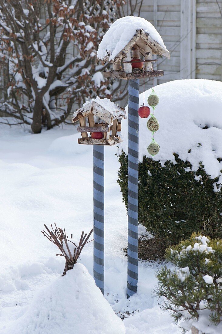 Bird feeders on curled wooden pegs in snowy garden