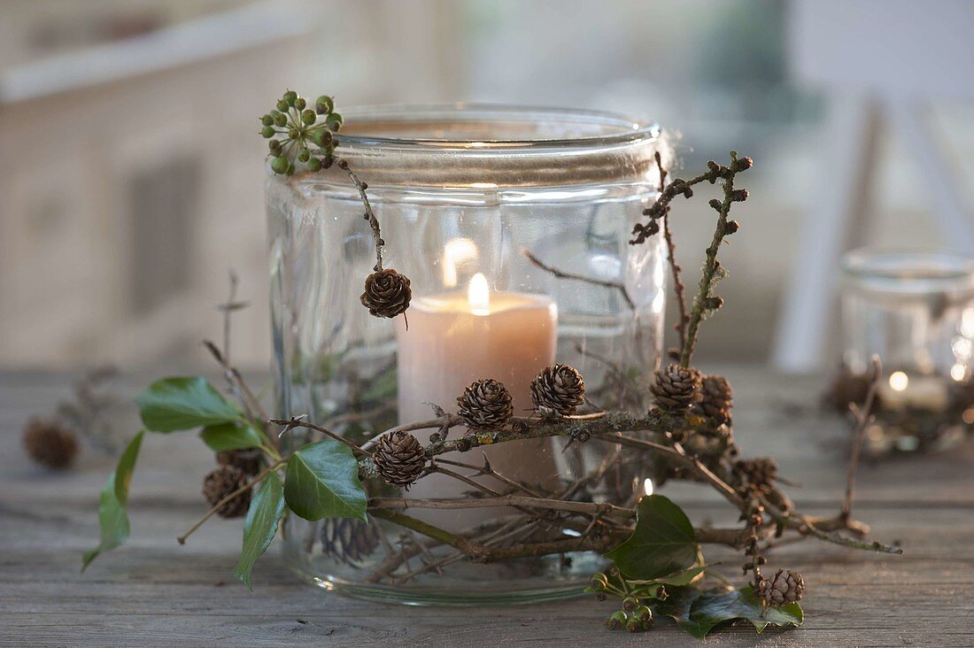 Glass as lantern with branches of Larix (larch) and Hedera (ivy)