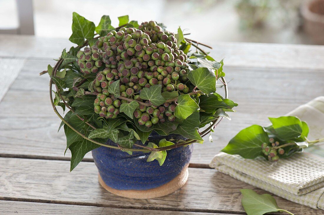 Biedermeier bouquet of immature Hedera fruit stalks