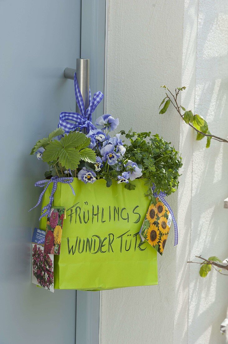 Spring wonder bag with Viola wittrockiana (pansies), parsley