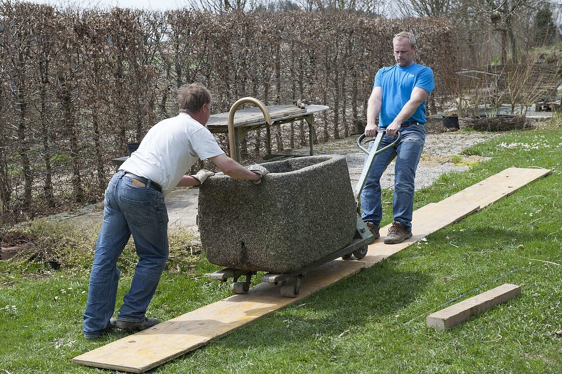 Men transporting granite trough in the garden with lift truck on formwork boards