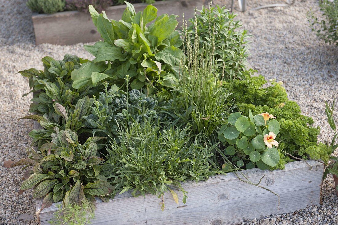 Building Square Garden beds on concrete pavers