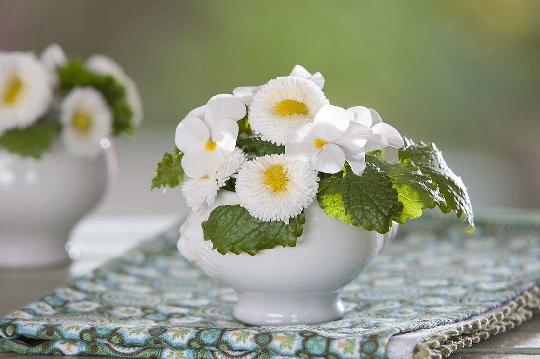 Little Bouquet with Bellis, Viola cornuta