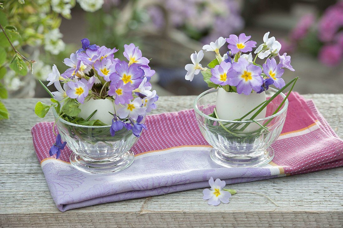 Kleine Sträuße in Eierschalen als Vase: Primula (Kissenprimel), Viola
