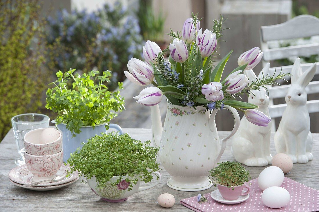 Sowing cress in rose cup