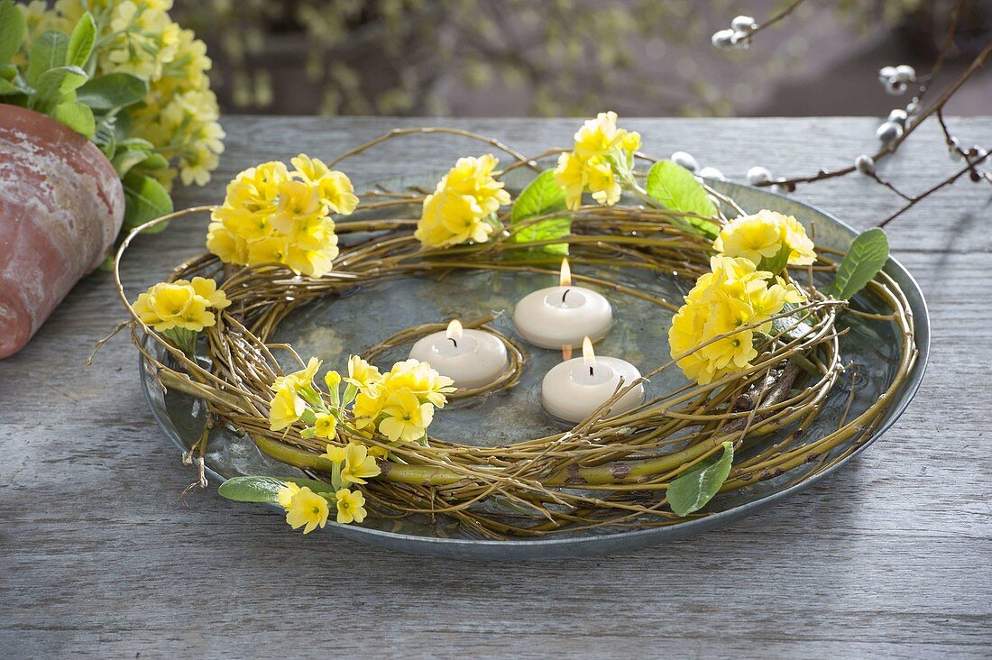 Wreath of Salix alba (weeping willow) with flowers of Primula veris