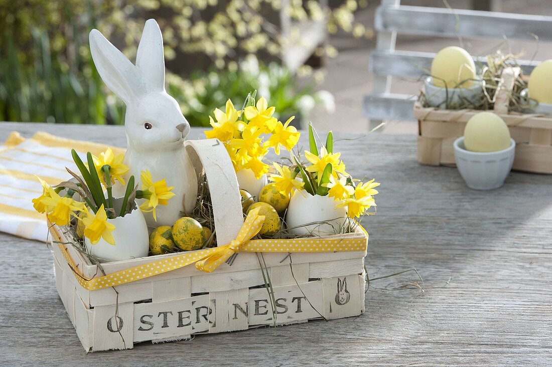 Easter nest in a chip basket as a gift: mini bouquets of narcissus (daffodils)