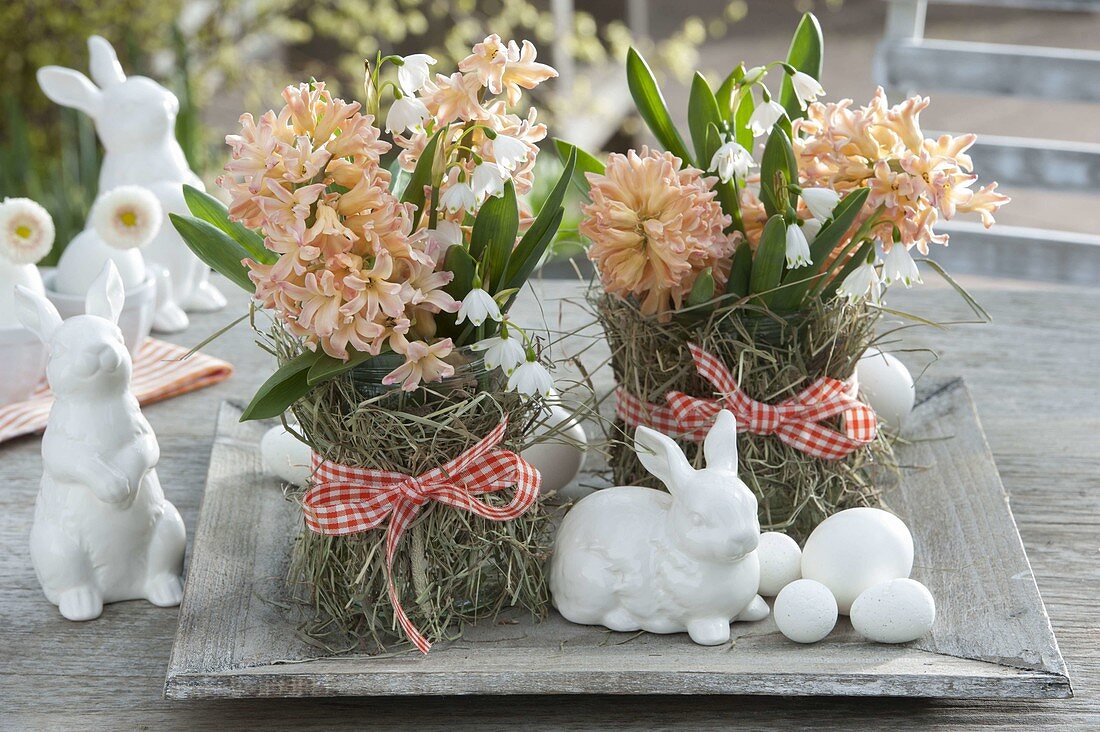 Bouquets of Hyacinthus 'Gipsy Queen' (Hyacinths) and Leucojum