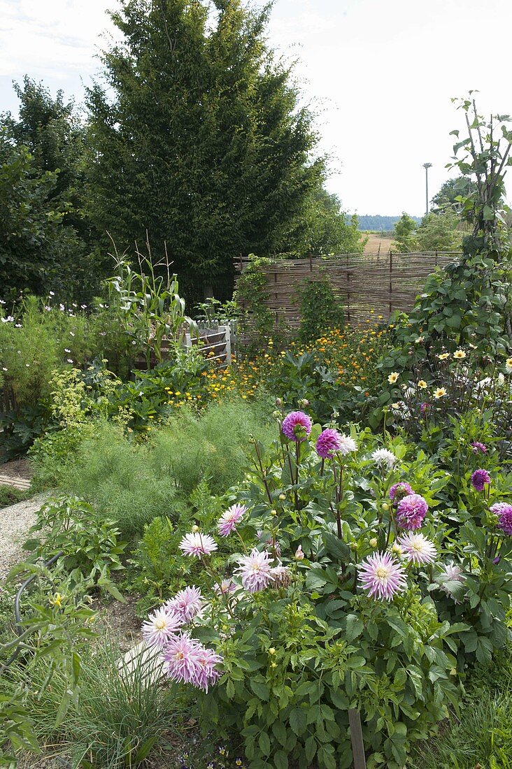 Bauerngarten mit Gemüse, Blumen und Kräutern