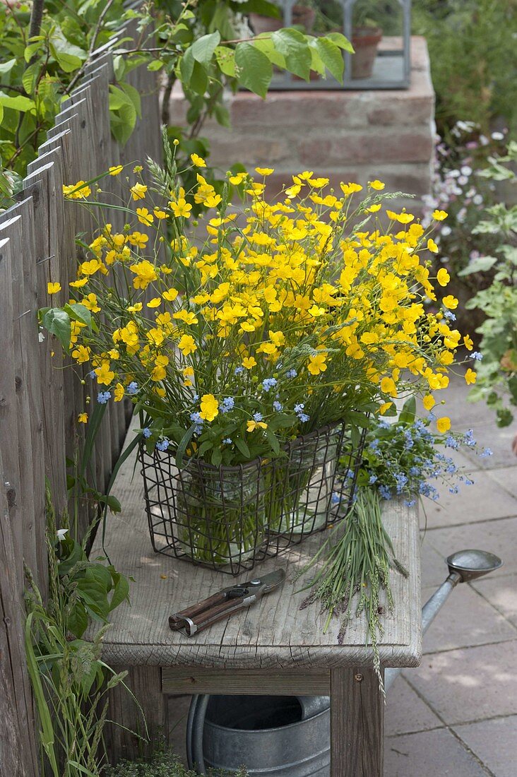 0-Euro bouquets from the meadow: Ranunculus acris (Buttercups)