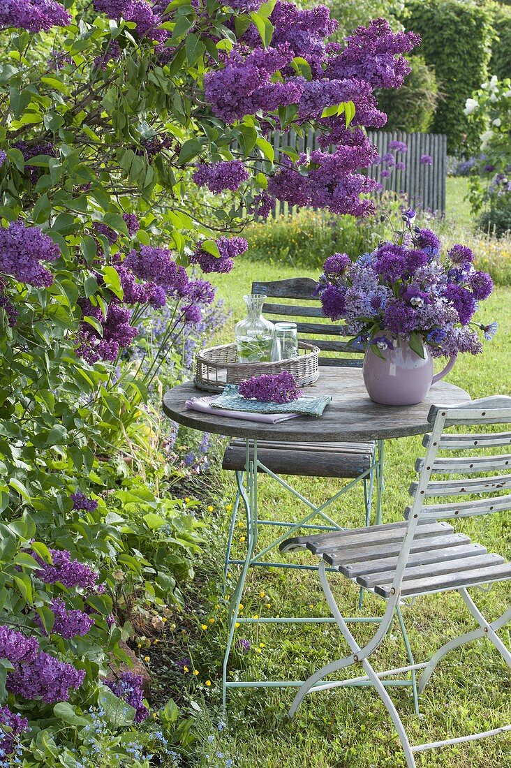 Bouquet of syringa (lilac), allium