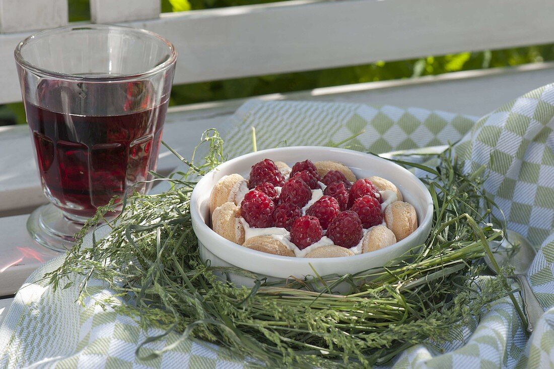 Schnelle Nachspeise mit Himbeeren (Rubus) auf Sahne und Löffelbiskuit