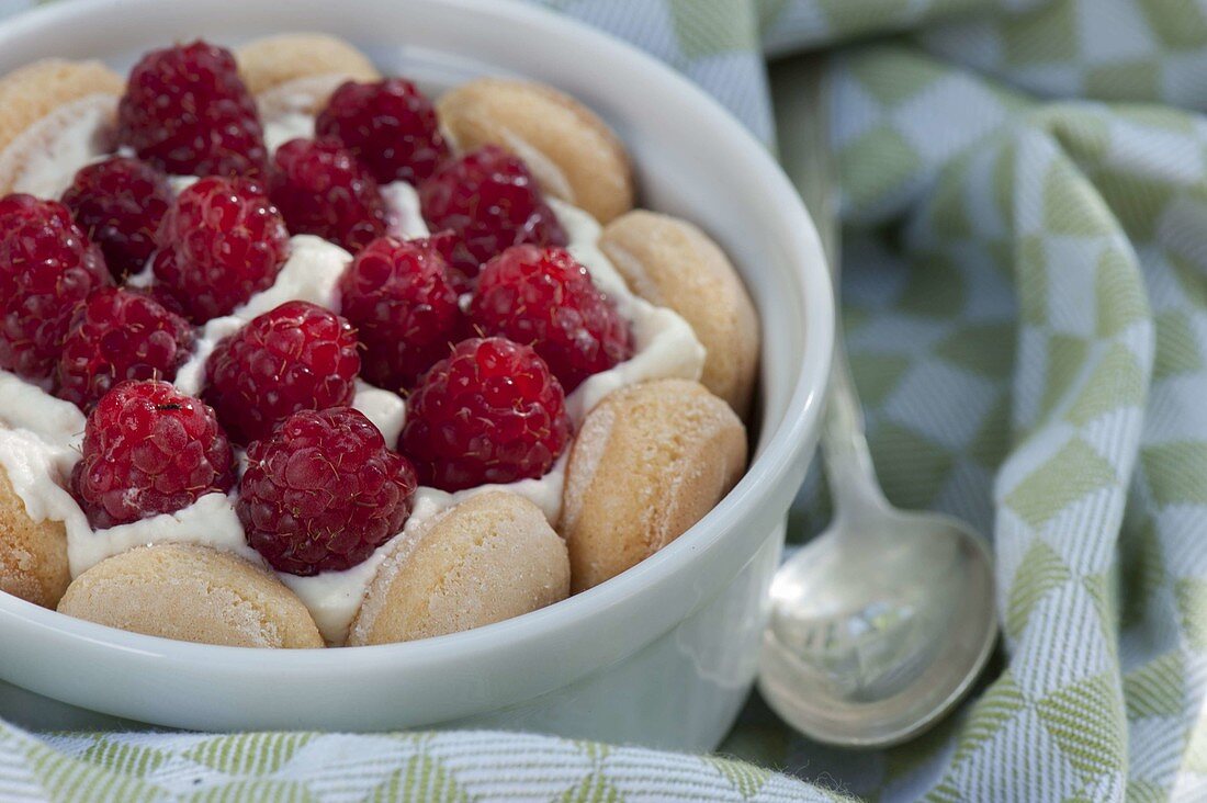 Schnelle Nachspeise mit Himbeeren (Rubus) auf Sahne und Löffelbiskuit