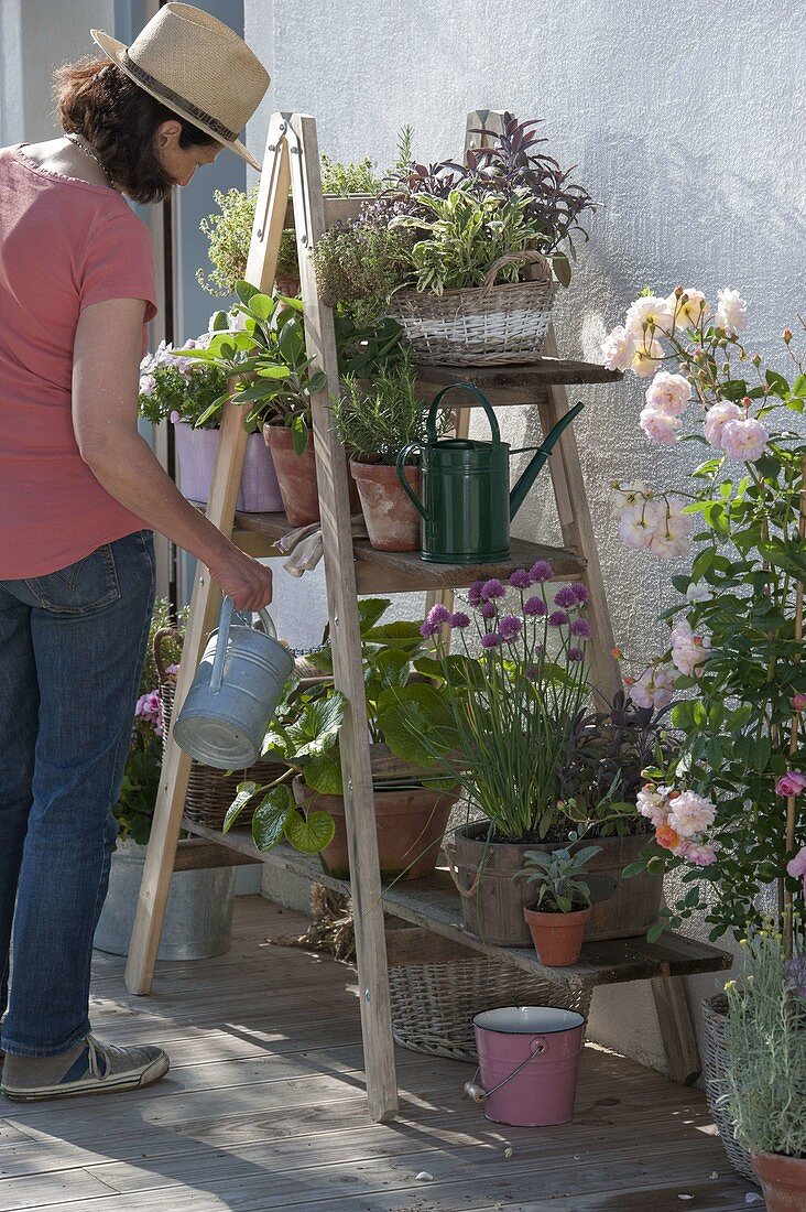 Wooden ladder with boards as flower stairs