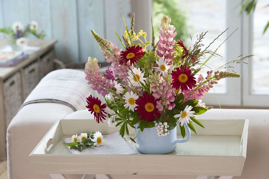 Early summer bouquet with Lupinus (lupines), Chrysanthemum coccineum