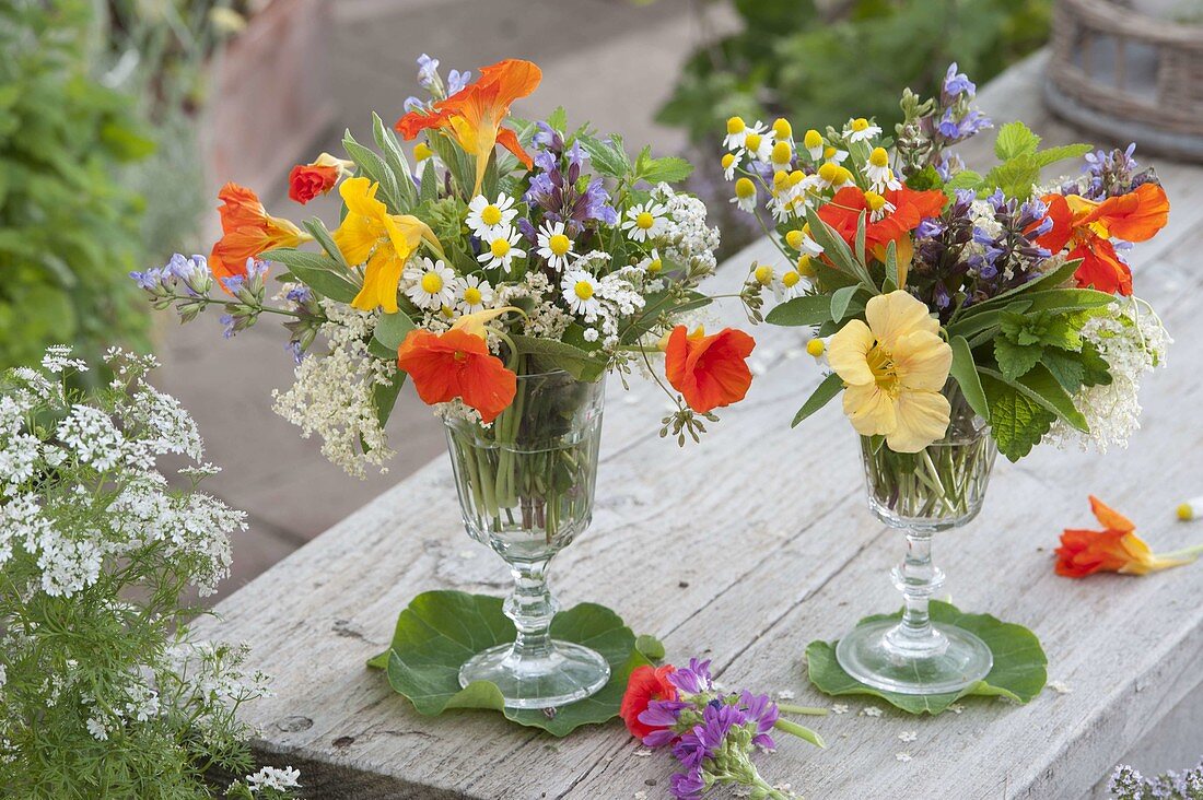 Edible shrubs in wine glasses