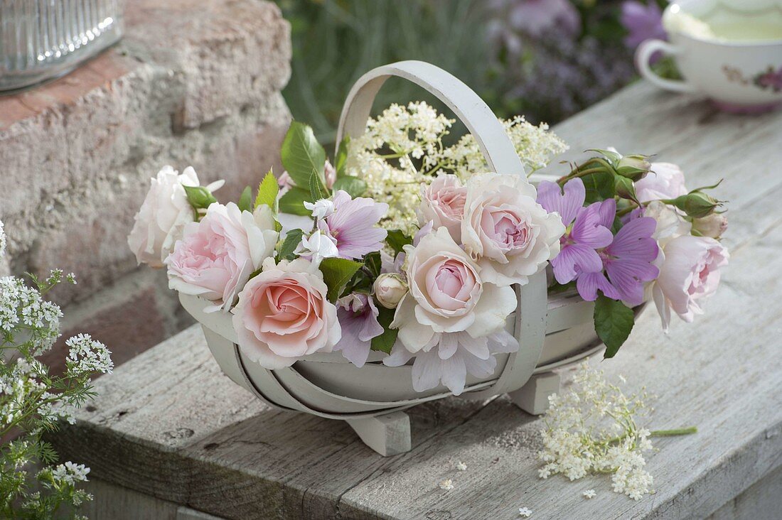 Span-Körbchen mit Rosa (Rosen), Lavatera (Malven) und Sambucus nigra