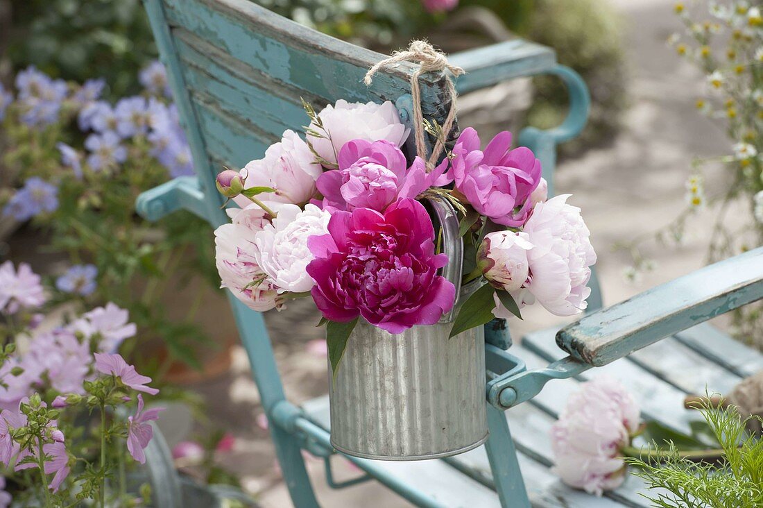 Small bouquet of paeonia (peony) in zinc buckets