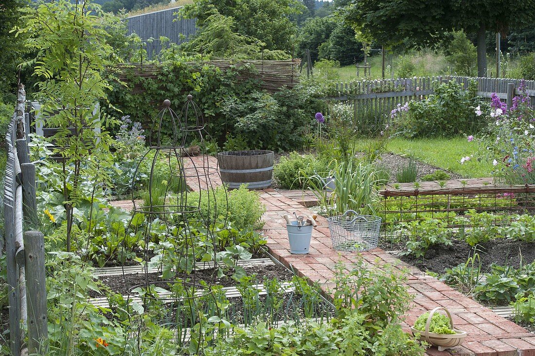 General view organic garden