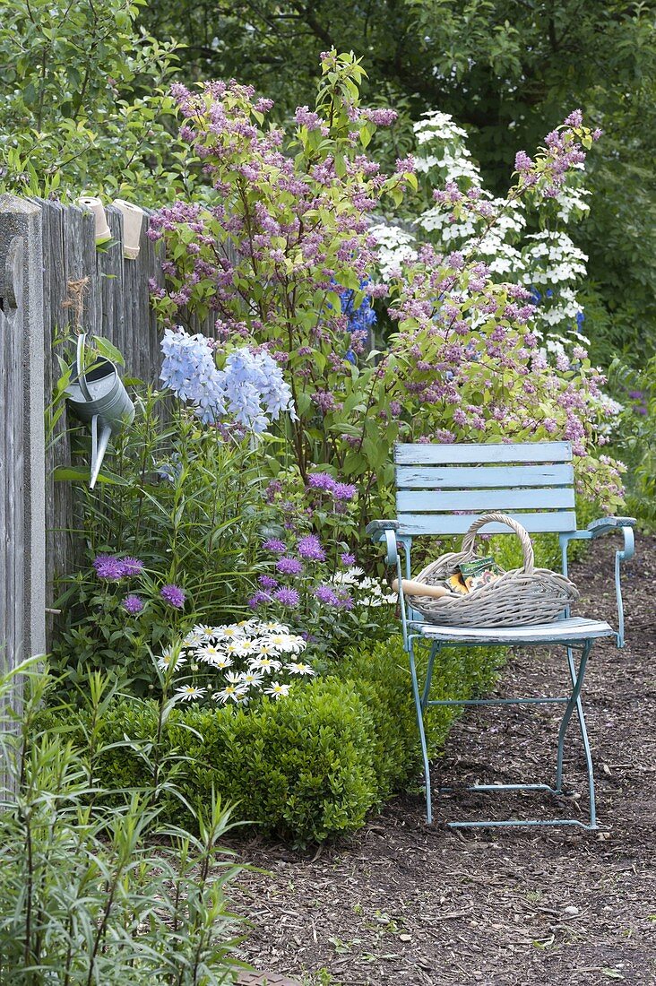 Bed with Deutzia 'Strawberry Fields' (Deutzia), Monarda fistulosa