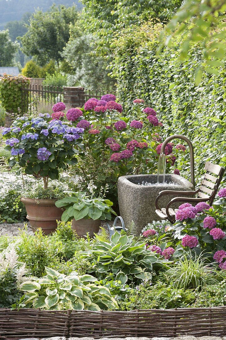 Semi-shade terrace with hydrangeas and fountain