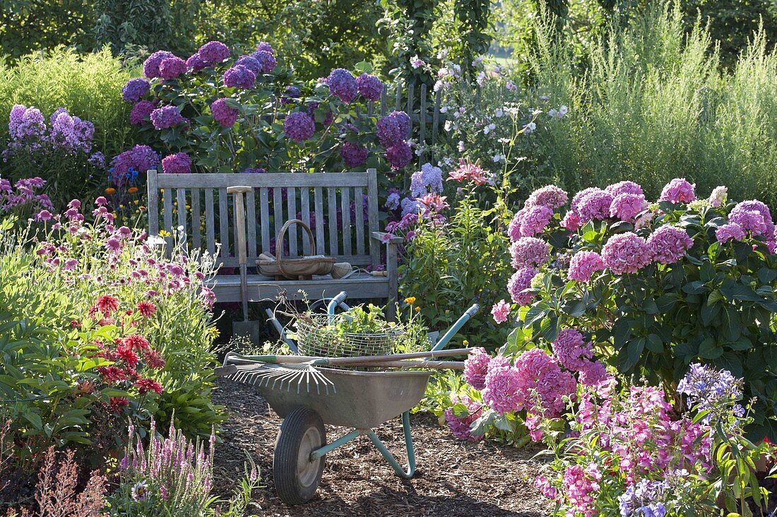 Shady seat in hydrangea garden