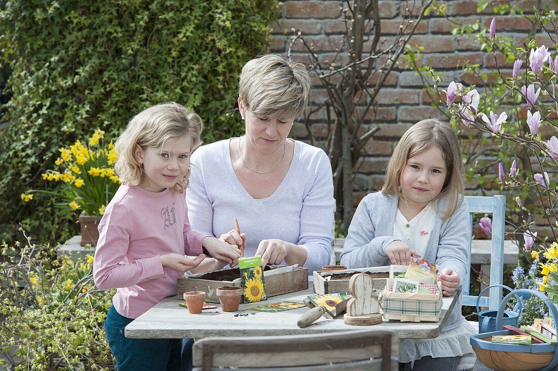 Mutter und Mädchen säen Sonnenblumen aus