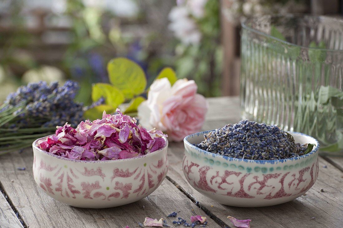 Schalen mit Blütenblättern von Rosa (Rosen) und Lavendel (Lavandula)