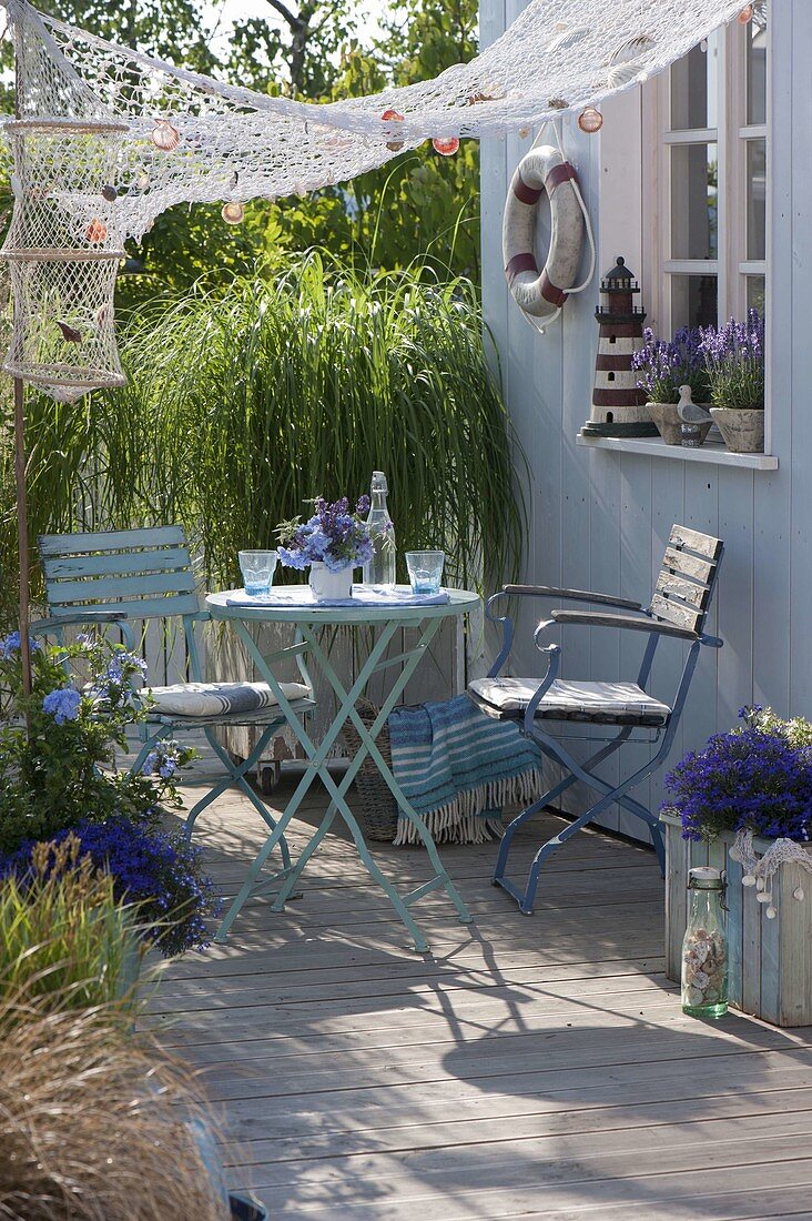 Maritime terrace with gold bar grass and lavender