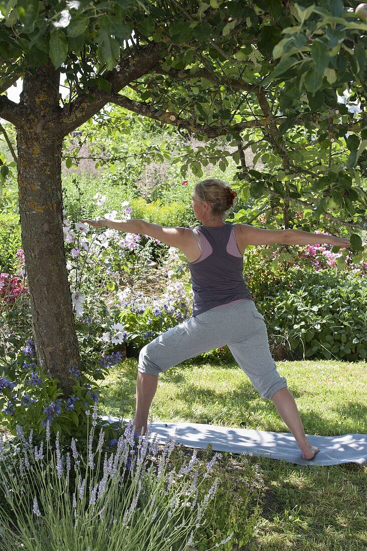 Woman doing yoga under apple tree (Malus)