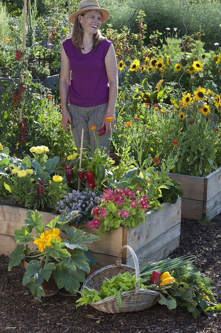 Bauerngarten in selbstgebauten Hochbeeten aus Brettern