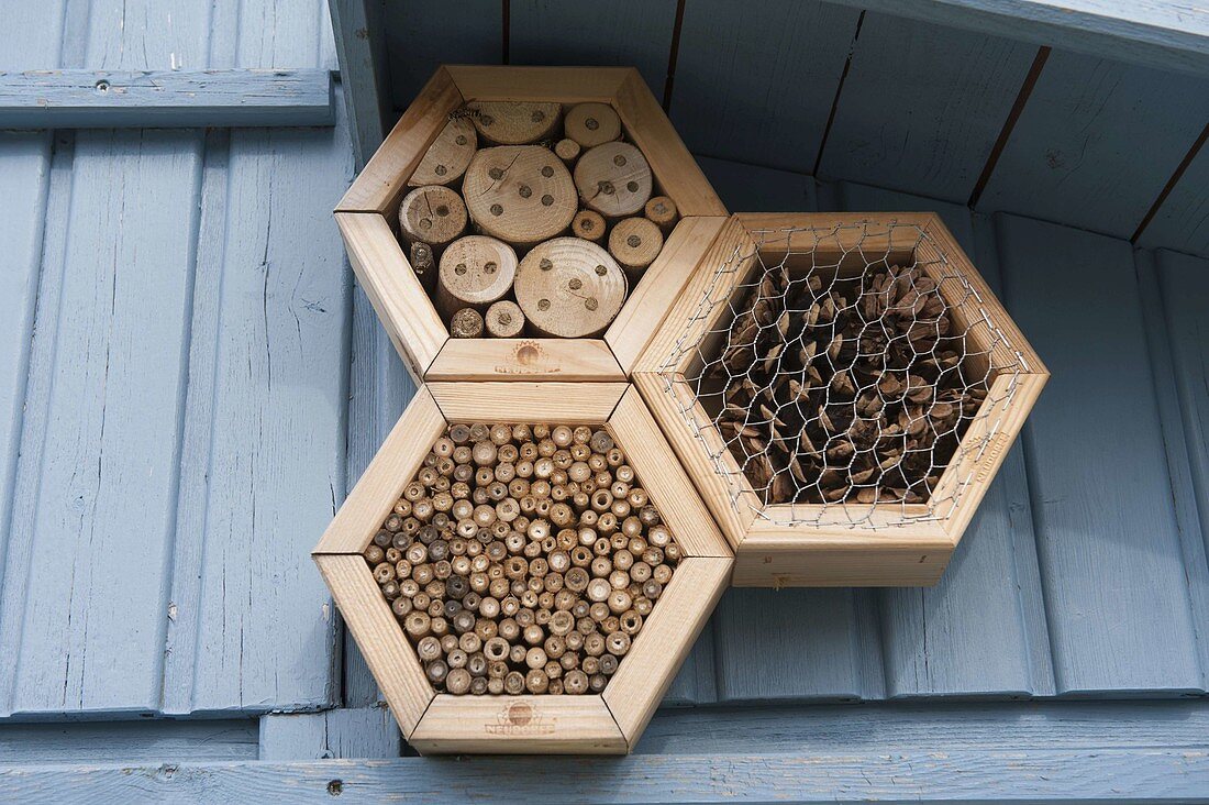 Honeycomb insect hotel