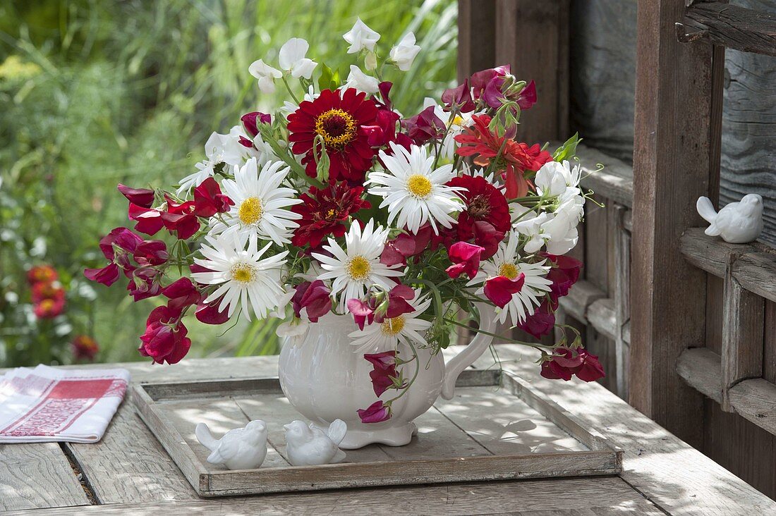 Red-white bouquet of Leucanthemum x superbum (daisies), Zinnia