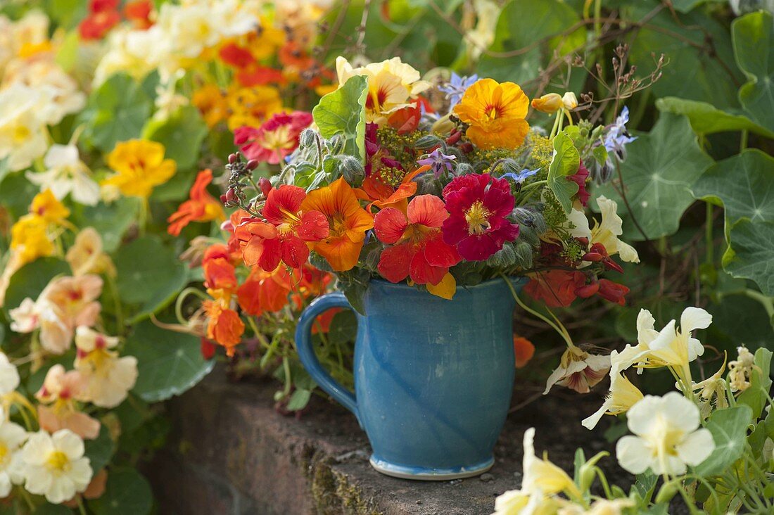 Strauss aus essbaren Blüten und Kräutern