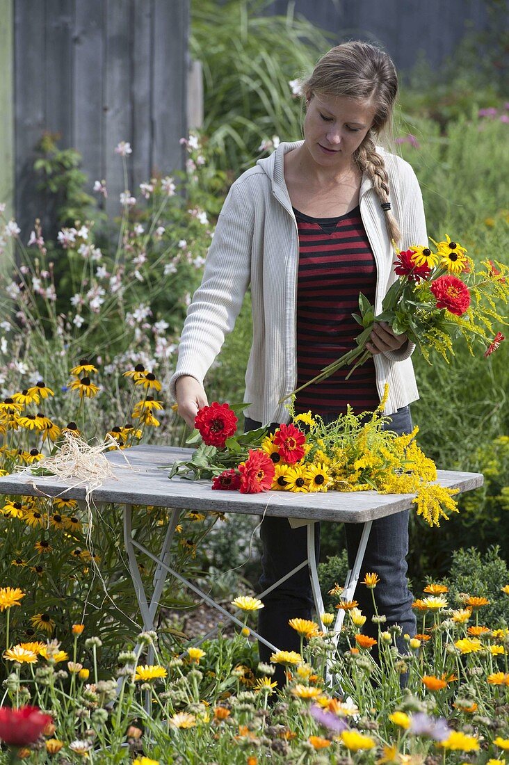 Frau bindet Strauss aus Solidago (Goldrute), Zinnia (Zinnien) und Rudbeckia