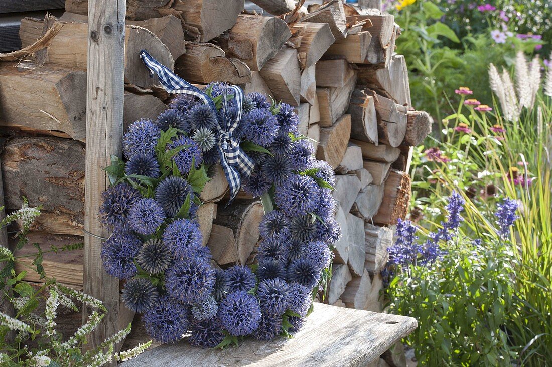 Wreath of Echinops ritro flowers on firewood pile