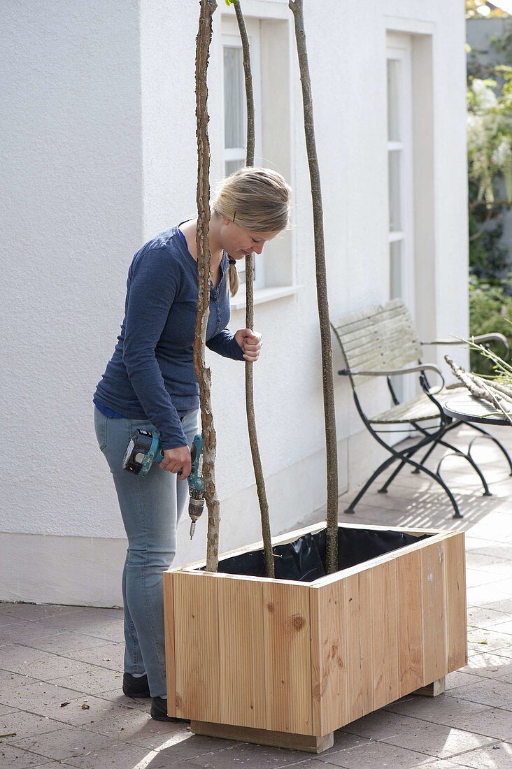 Plant box with blackberry and summer flowers