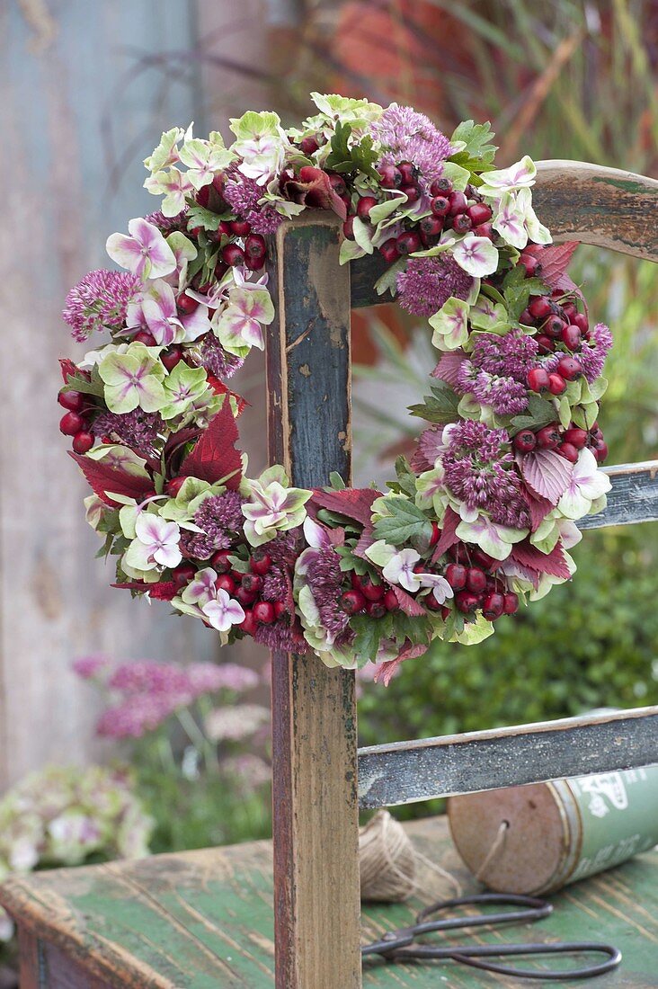 Wreath with flowers of Hydrangea (Hydrangea), Sedum telephium (Stonecrop)