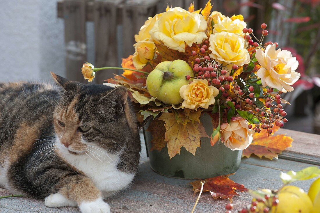 Yellow autumn bouquet with quinces, Rose