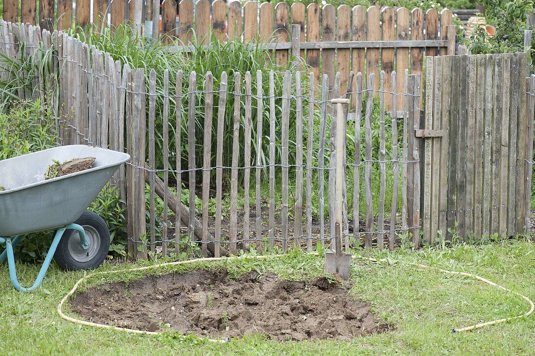 Create a round bed with Veitshöchheim summer flower mixture