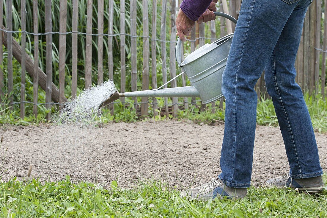 Create round bed with Veitshöchheimer summer flower mixture