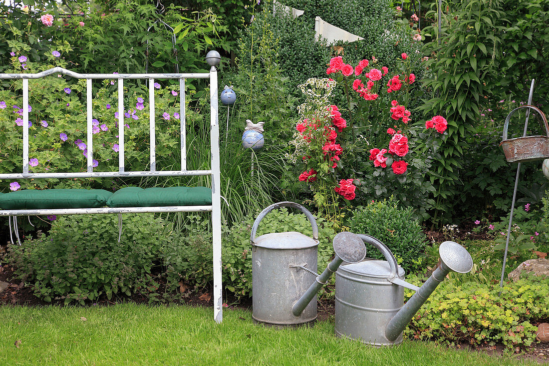 Bench at the perennial bed with bedding rose