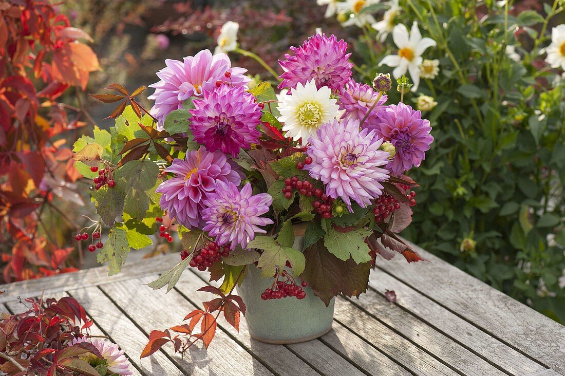 Herbstlicher Strauss mit Dahlia (Dahlien), Viburnum trilobum (Schneeball)