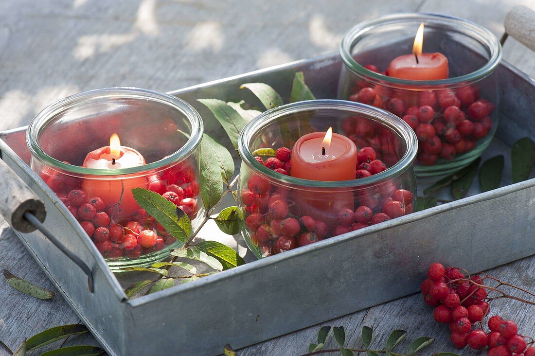 Canning jars as lanterns with candles and berries from Sorbus
