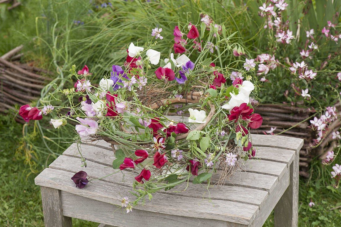 Wreath of Lathyrus odoratus (sweet pea) and Coronilla varia