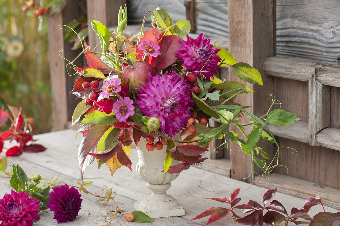 Autumn bouquet of Dahlia (dahlias), Zinnia (zinnias), apples, ornamental apples