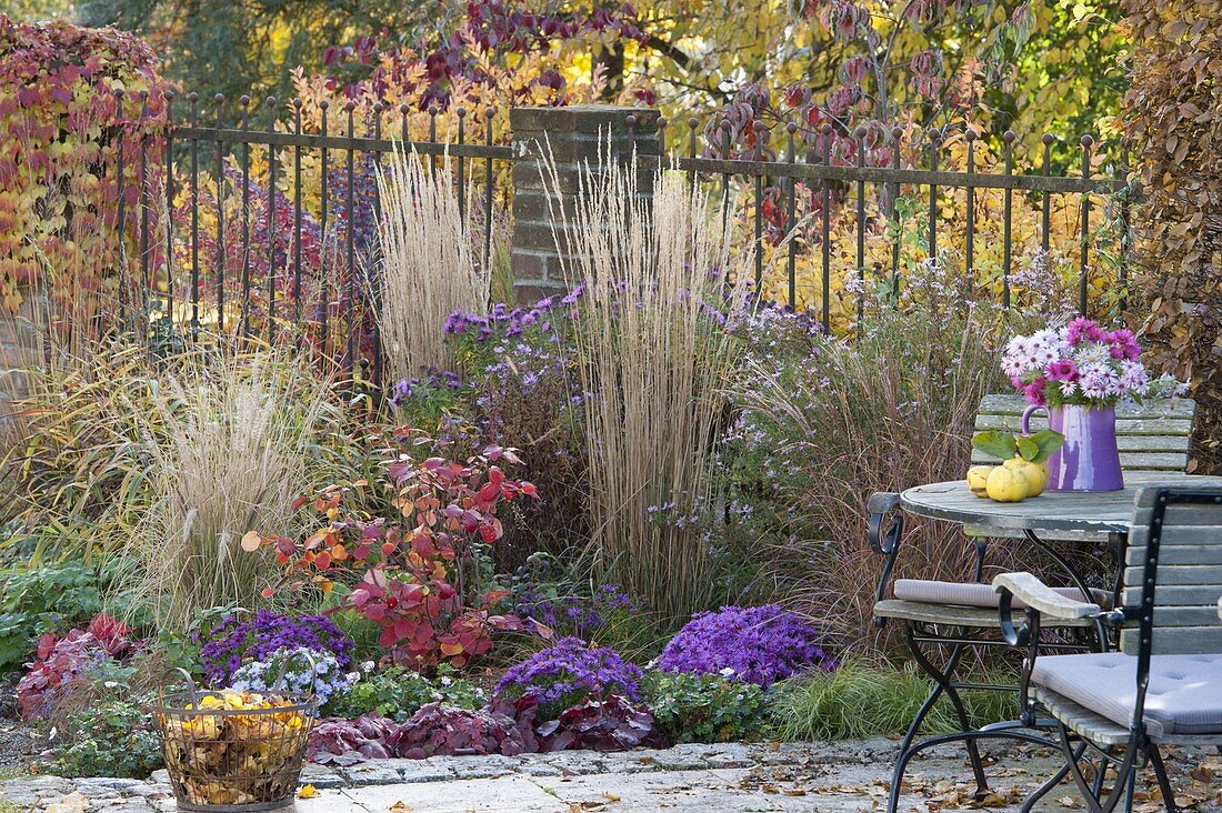 Terrassenbeet mit Fothergilla major (Federbuschstrauch), Calamagrostis 'Karl Förster'